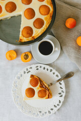 Summer apricot pie homemade delicious fruit dessert. Apricot tart. Fruit pie. French pastries.