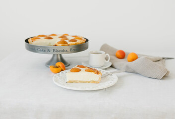 Summer apricot pie homemade delicious fruit dessert. Apricot tart. Fruit pie. French pastries.