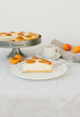 Summer apricot pie homemade delicious fruit dessert. Apricot tart. Fruit pie. French pastries.