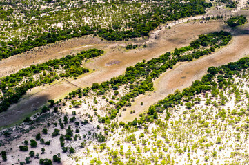 It's beautiful aerial view of the Okavango Delta (Okavango Grassland), One of the Seven Natural Wonders of Africa, Botswana