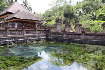 Fototapeta na wymiar Bassin du temple Tirta Empul à Bali, Indonésie