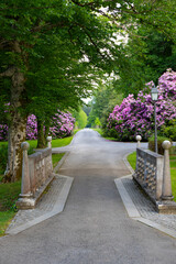 Obraz premium Brdo protocolar botanic garden in Slovenia