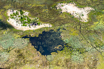 It's Beautiful aerial view of the Okavango Delta (Okavango Grassland), One of the Seven Natural Wonders of Africa, Botswana