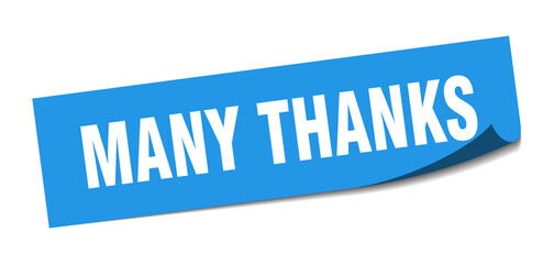many thanks sticker. many thanks square isolated sign. many thanks label