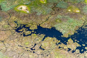 It's Beautiful aerial view of the Okavango Delta (Okavango Grassland), One of the Seven Natural Wonders of Africa, Botswana