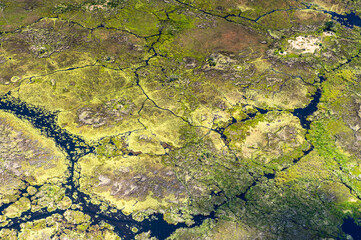 It's Beautiful aerial view of the Okavango Delta (Okavango Grassland), One of the Seven Natural Wonders of Africa, Botswana