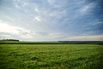 Beautiful field landscape. Countryside village rural natural background at sunny weather in spring summer. Green grass and blue sky with clouds before rain.Nature protection concept.