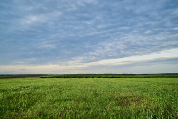 Obraz premium Beautiful field landscape. Countryside village rural natural background at sunny weather in spring summer. Green grass and blue sky with clouds before rain.Nature protection concept.