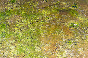 It's Aerial panoramic view of the Okavango Delta (Okavango Grassland), One of the Seven Natural Wonders of Africa, Botswana