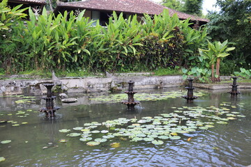 Bassin du palais de Tirta Gangga, Bali, Indonésie	