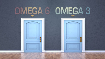 Omega 6 and omega 3 as a choice - pictured as words Omega 6, omega 3 on doors to show that Omega 6 and omega 3 are opposite options while making decision, 3d illustration