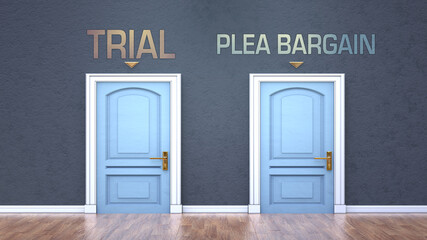 Trial and plea bargain as a choice - pictured as words Trial, plea bargain on doors to show that Trial and plea bargain are opposite options while making decision, 3d illustration - obrazy, fototapety, plakaty
