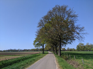 Fototapeta na wymiar Road towards Hengelo in Gelderland during a sunny spring