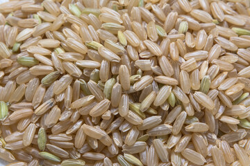 Brown rice grain, nutritious food