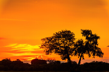 It's Beautiful sunset over the Okavango Delta (Okavango Grassland), One of the Seven Natural Wonders of Africa, Botswana