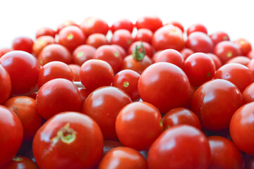 Many whole fresh tomatoes, organic food