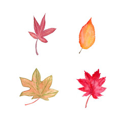 Watercolor set of autumn leaves red, yellow , orange color isolated on white. Elements design for card, textile, fabric,  kitchen, poster, banner, wrapping, package, packaging