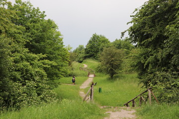 Przemyśl