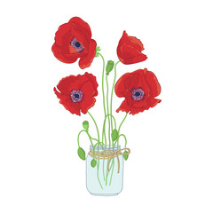 Obraz premium Hand drawn poppy flowers in mason jar clipart. Floral design element. Isolated on white background. Vector illustration.