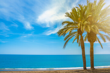 Paradise beach concept. Sunny summer day, seascape with palm trees. Vacation and relax