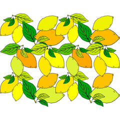 Seamless pattern with drawn lemons. Tropical summer citrus fruit engraved style background. Vector illustration for web design or print.
