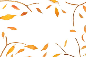 Falling autumn leaves composition with copy space at center.