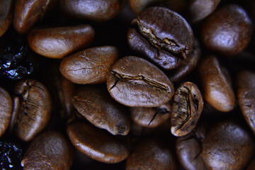 Group of roasted coffee beans
