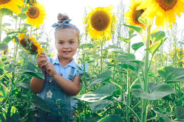 Cheerful happy girl in stylish jeans and hairband looking at camera in sunflower field. Childhood, nature, summer concept. Front view of cute child with yellow sun flowers