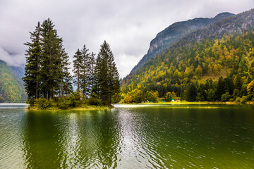 Island overgrown with pine trees
