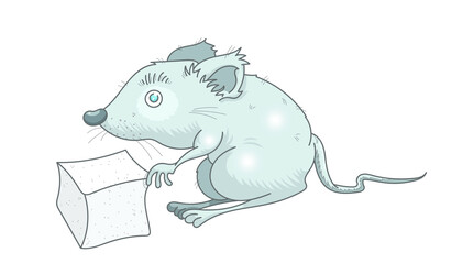 Souris et sucre