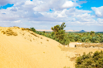 It's Bahariya Oasis, Egypt
