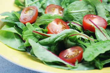 A plate with green salad and cherry tomatoes