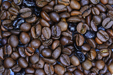 Group of coffee beans seen up close