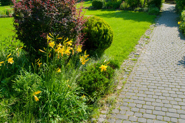 Multicolored flower beds in a landscape park