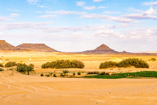 It's Bahariya Oasis, Egypt