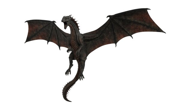 3d rendered black dragon isolated on white background