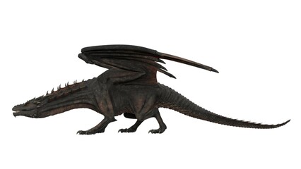 Fototapeta premium 3d rendered black dragon isolated on white background