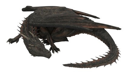3d rendered black dragon isolated on white background