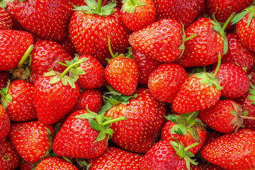 Fresh organic Strawberry fruit background Top view closeup