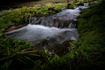 Obraz premium A creek in the middle of a forest during fall and winter season