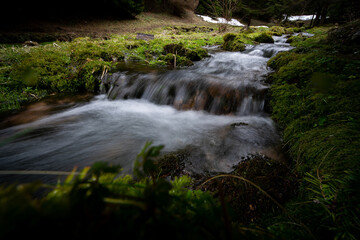 A creek in the middle of a forest during fall and winter season