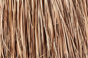 Roof with straw, background with yellow straw.