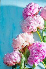 Pink peonies bouquet closeup, spring flowers for Mother's Day on ligh blue wooden background. Wedding events and other holidays.