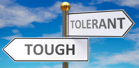 Tough and tolerant as different choices in life - pictured as words Tough, tolerant on road signs pointing at opposite ways to show that these are alternative options., 3d illustration