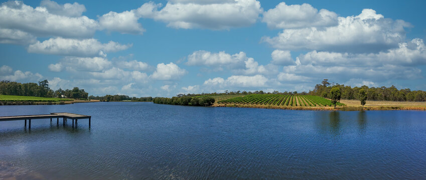 Panorama picture from a nice lake and vine yard from Western Australia