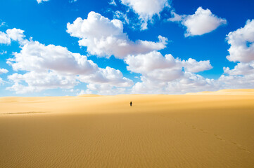 Fototapeta na wymiar It's Alone man in the Sahara desert in Egypt