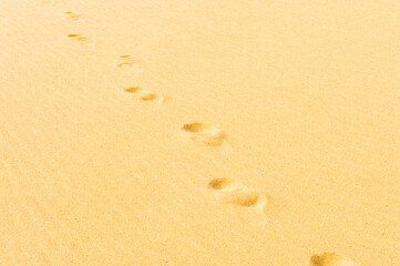 Fototapeta na wymiar It's Trails on the dune in the Sahara desert in Egypt