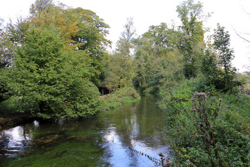 Fototapeta na wymiar The River Test running through Mottisfont in Hampshire