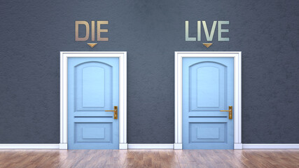 Die and live as a choice - pictured as words Die, live on doors to show that Die and live are opposite options while making decision, 3d illustration