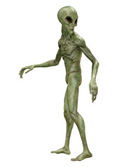 3D Rendering Green Alien on White